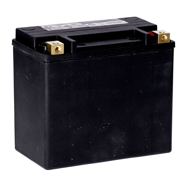 AGM Standard Series Batterie. 12V, 22Ah. 325CCA