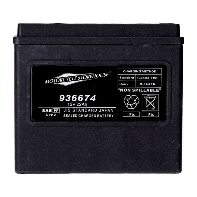 AGM Standard Series Batterie. 12V, 22Ah. 325CCA