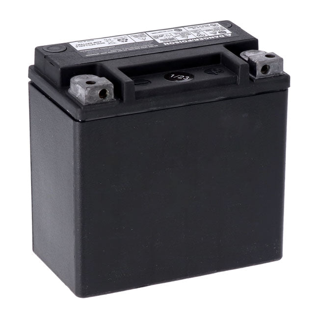 AGM Advance Series Batterie. 12V, 12Ah, 220CCA