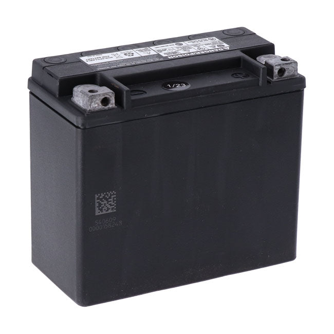 AGM Advance Series Batterie. 12V, 18Ah, 310CCA